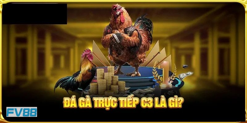 Đá Gà Cựa Sắt fv88 - Cập nhật kết quả nhanh chóng Đá Gà Cựa Sắt fv88 - Cập nhật kết quả nhanh chóng